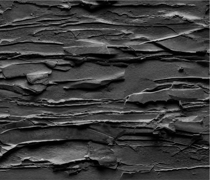 Cement Based Surfaces jpg