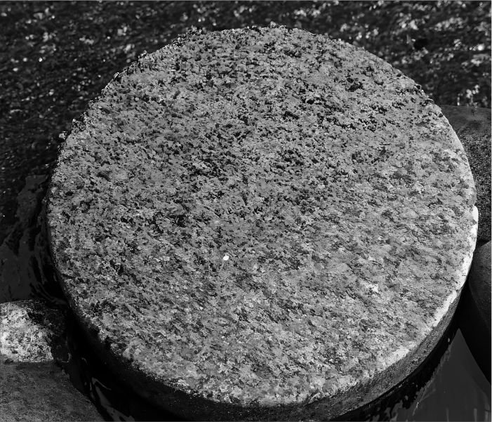Stone Brick Concrete Shield 2